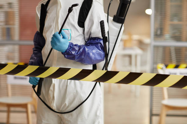 Professional Sewage Cleanup technician working in Raymond, NE